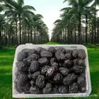عجوة المدينة المنورة