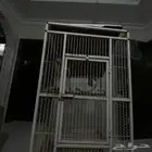 قفص ببغاء