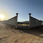 حوش للبيع في السيل الصغير خلف مخطط الوئام