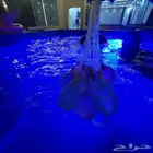 295 بمناسه اليوم الوطني