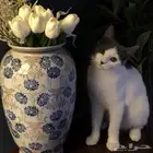 قطة صغيرة لعوبة