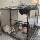 قفص للحمام و الدجاج