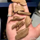 عود مروكي نقوة