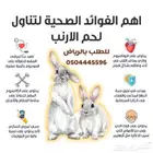 أرانب فرنسي لحم لباني