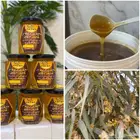 عرض خاص على عسل اصلي من منحلي