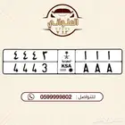 لوحة مميزه للبيع