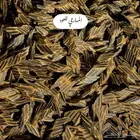 عود ميني تايقر