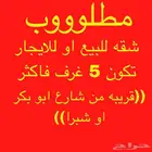 شقه للإيجار او للبيع حول شبرا او ابو بكر