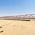 حظائر دواجن