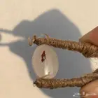 فص عقيق يماني مصور