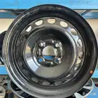 جنوط سَوح نيسان ( صني ) الهندي