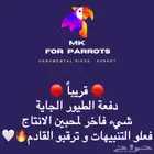 ترقبووو دفعة جديدة من الطيور