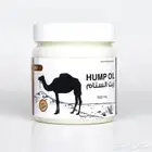 زيت