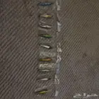 صيد اسماك لور 10 جرام