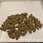 لعيون الوطن