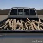 صندوق هلقس غمارتين لبيع وتوصيل جميع مطق القصيم