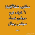 مطلوب شقة أو فيلا. كبيرة. جديدة أو مجددة بمدخل خاص.