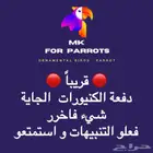 كنيور