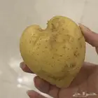 بطاطا على شكل قلب   على السوم