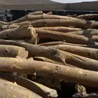 لبيع صندوق هلقس