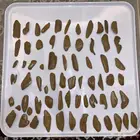 عود مروكي محسن دبل سوبر