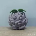 فيقر فاكهة ون بيس تيتش