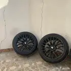 جنوط موستنج