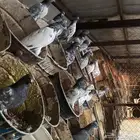 حمام هندي وعينك ميزانك