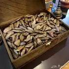 عود مروكي فاخر