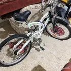 سيكل خميس مشيط