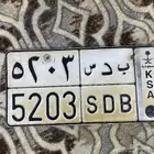 عسير  بيشه تباله