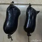 سمن غنم