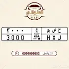 لوحة مميزه للبيع