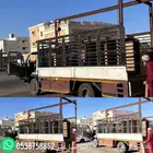 دينا توصيل