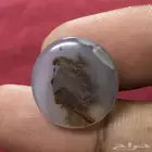 حجر عقيق مشجر مصور رأس حرمة