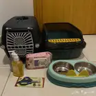 مستلزمات قطط