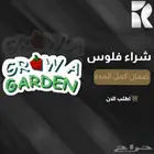 فلوس ماب المزرعه