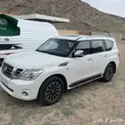بلاينيوم 2013