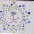 لوحة خصوصي مميزة بشعار رؤية 2030 بأسم ( حصه ) للبيع ..