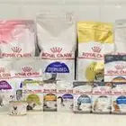 كل مايحتاجه اليفك اكل مستلزمات وعنايه