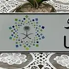 لوحة مميزه فردي حصه 7