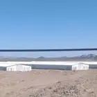 مشروع دواجن