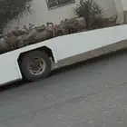 للبيع شد سطحه.