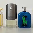 عرض اليوم الوطني 95