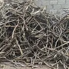 صندوق غماره