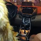 النترا 2014