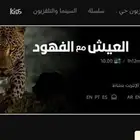 مبرمج تلفزيونات