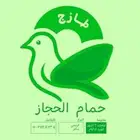 مصمم جرافيك