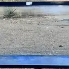 حوض سمك