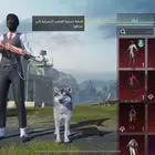 حساب ببجي